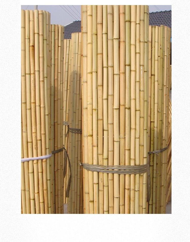 Raw decorative bamboo poles straight cheap price bamboo fencing roll