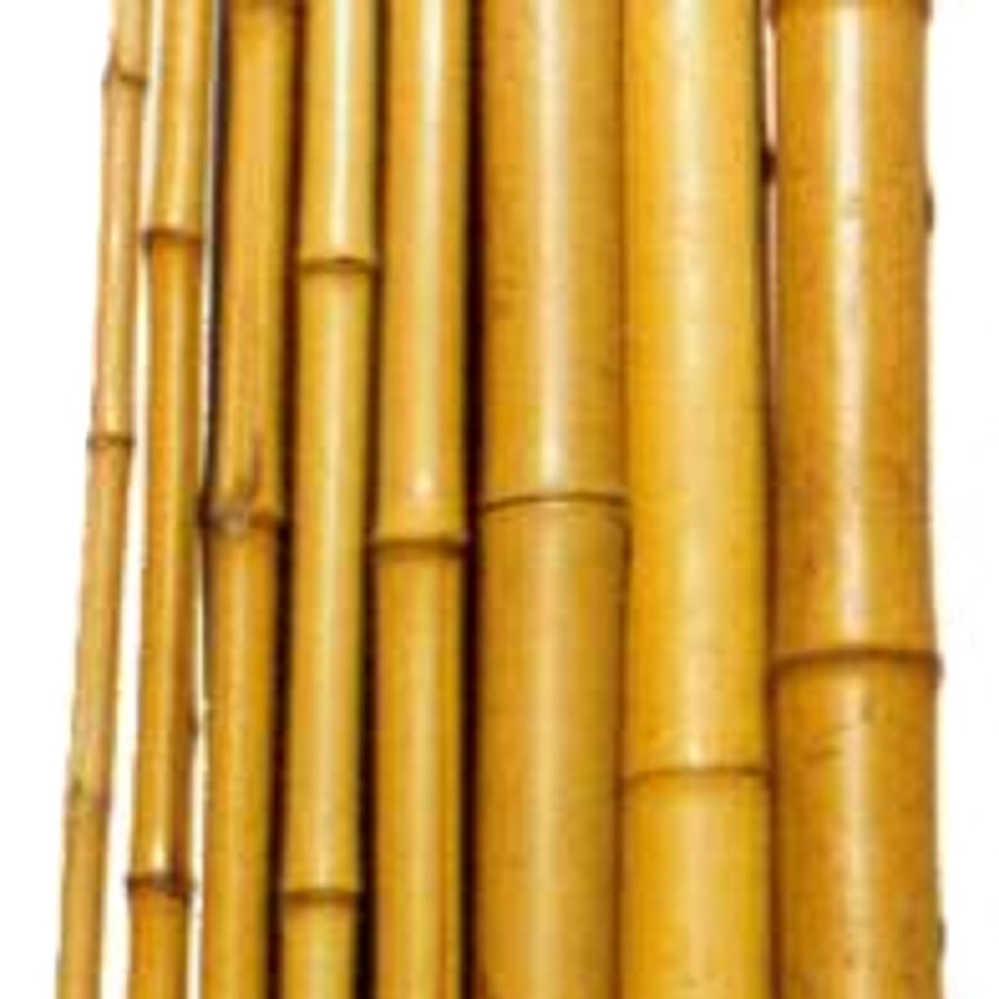 2023 New Arrivals Bamboo Garden Fence Rolls Panels Bamboo Cane As Garden Fence Gate