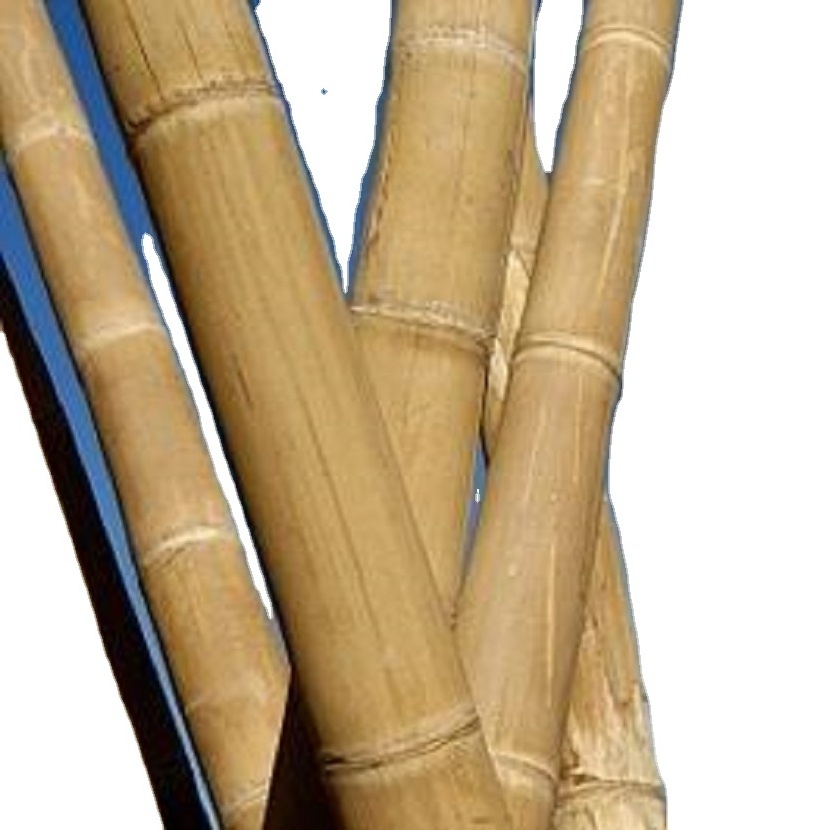 2023 New Arrivals Bamboo Garden Fence Rolls Panels Bamboo Cane As Garden Fence Gate