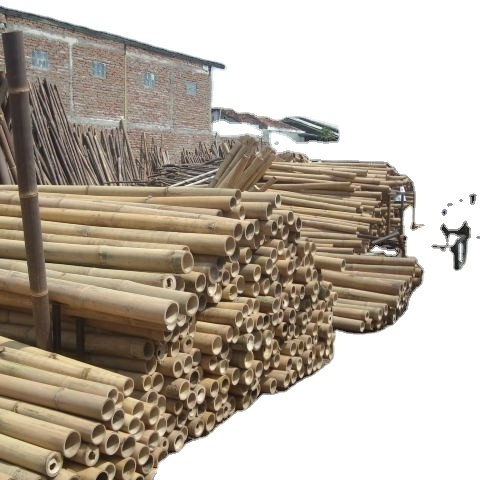 2023 New Arrivals Bamboo Garden Fence Rolls Panels Bamboo Cane As Garden Fence Gate