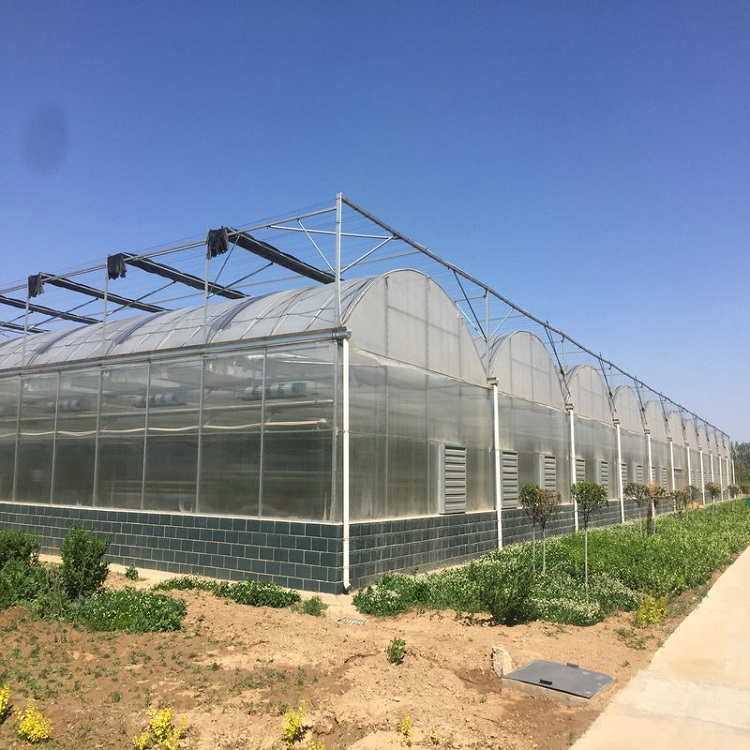 PE greenhouse film tunnel plastic greehouse film agriculture used greenhouse frames for sale