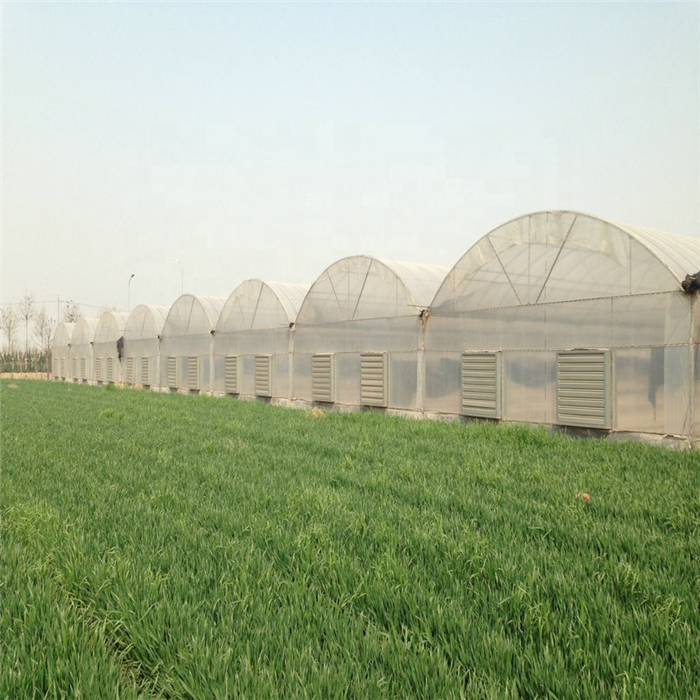 PE greenhouse film tunnel plastic greehouse film agriculture used greenhouse frames for sale