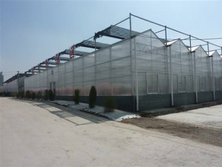 PE greenhouse film tunnel plastic greehouse film agriculture used greenhouse frames for sale