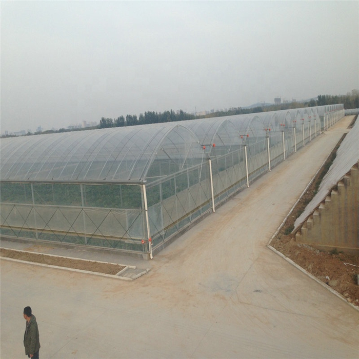 PE greenhouse film tunnel plastic greehouse film agriculture used greenhouse frames for sale