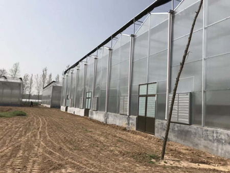 PE greenhouse film tunnel plastic greehouse film agriculture used greenhouse frames for sale