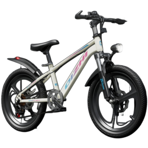 Kid's Training bicycle Variable speed bike 20 "student car 22" 24 "mountain bike children's bike