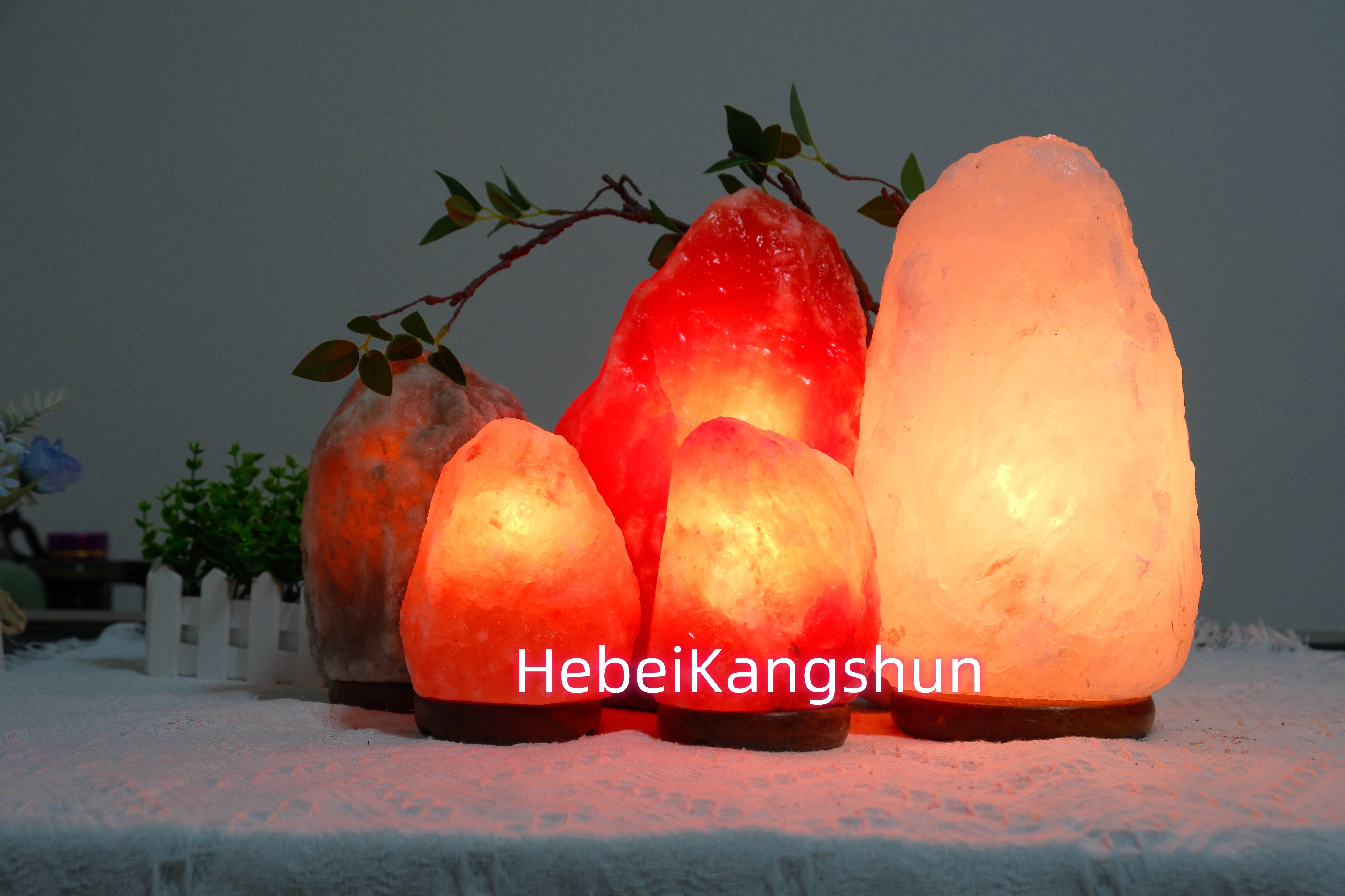 Hot selling himalayan pink stone crystal from Pakistan home decoration natural shape salt lamps dimmer control