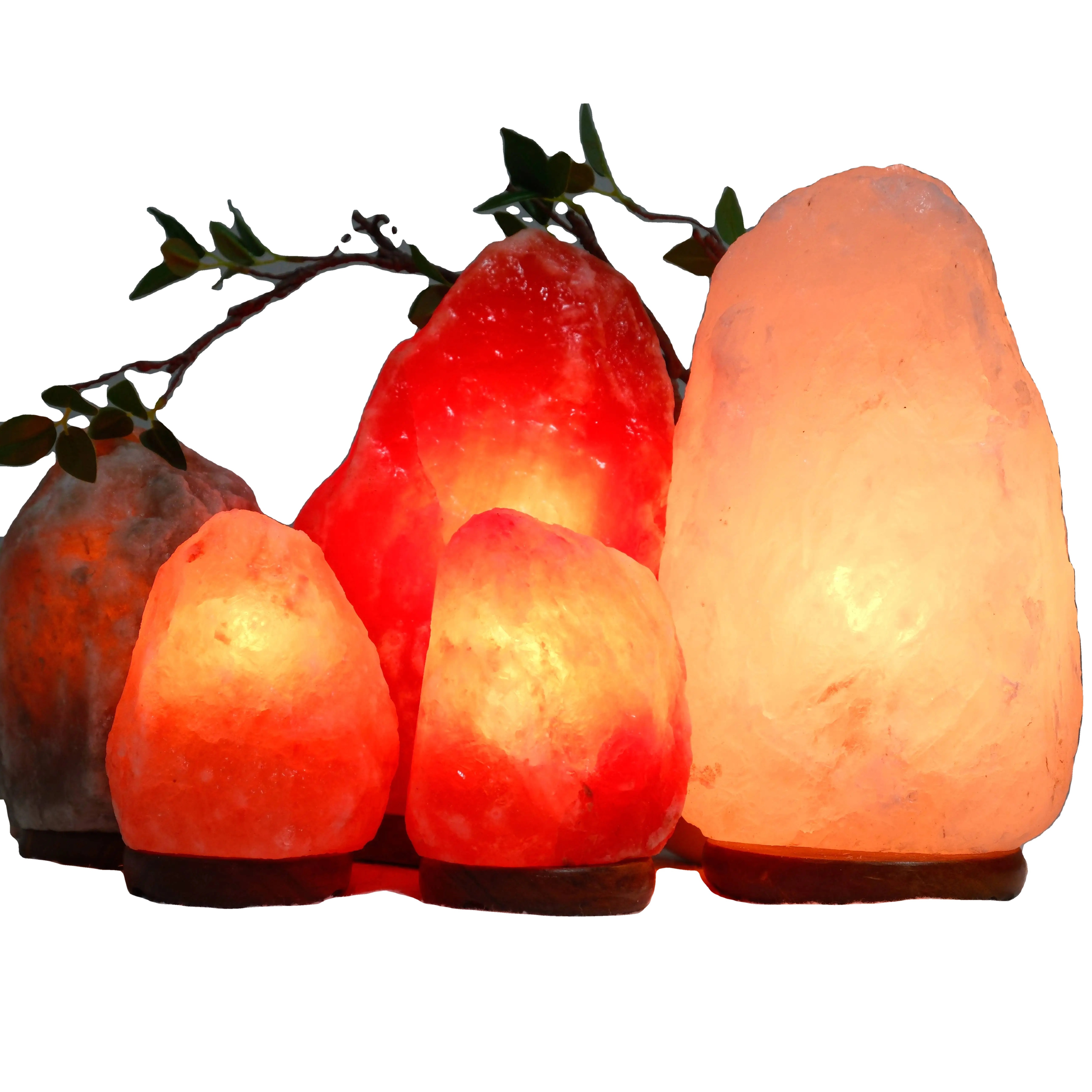 Electric white rock pink himalayan Pakistan natural shape crystal salt lamps cord set stone