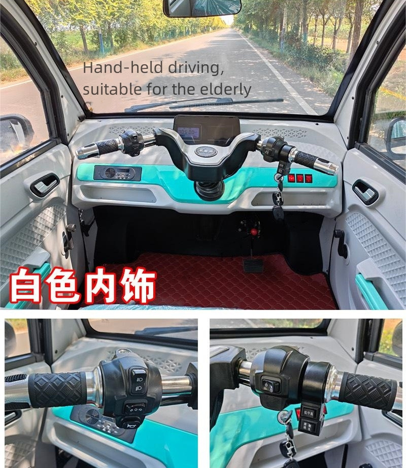 24 Adult Family Four-Wheel Electric Vehicle 1000W 60v Fully Enclosed Elderly New Energy Automobile Pick Up Children Electric Car