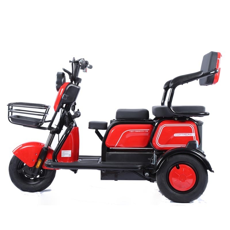 Factory Hot Selling Recumbent Trike Enclosed 3 Wheel Motorcycle 600 Watt Lead Acid Electric Tricycle