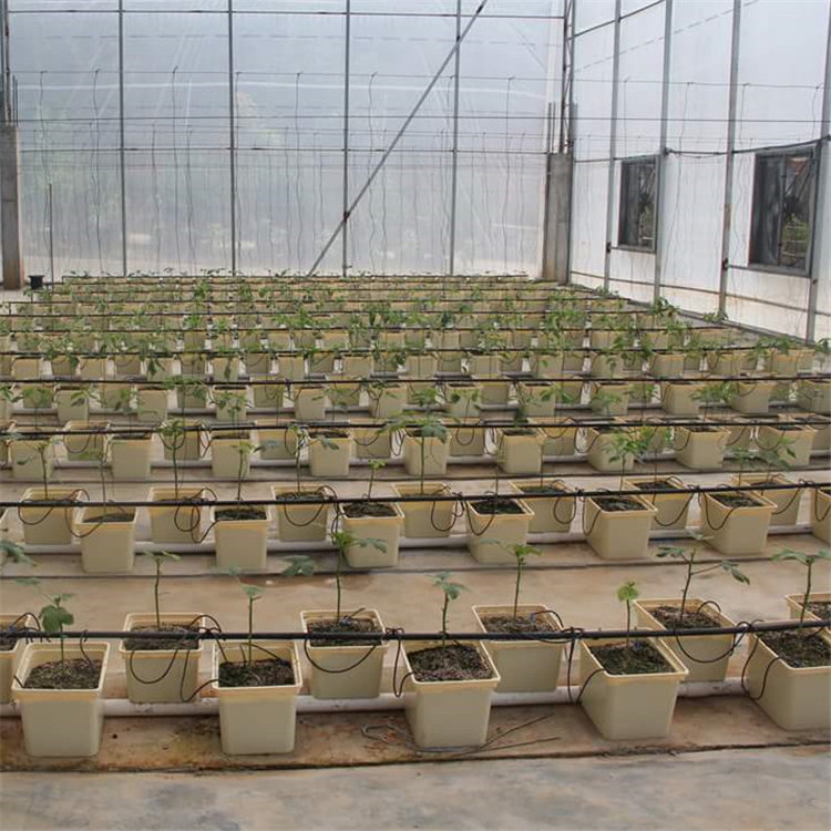 Hot sales Food grade Dutch Bato Bucket For Greenhouse hydroponic systems