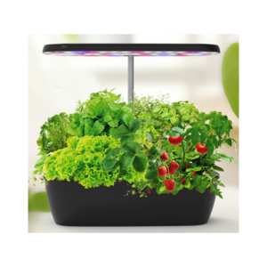 strawberry plants hydroponic grow system kit Professional Supplier Equipment indoor