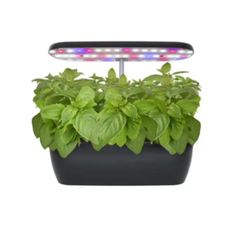 strawberry plants hydroponic grow system kit Professional Supplier Equipment indoor