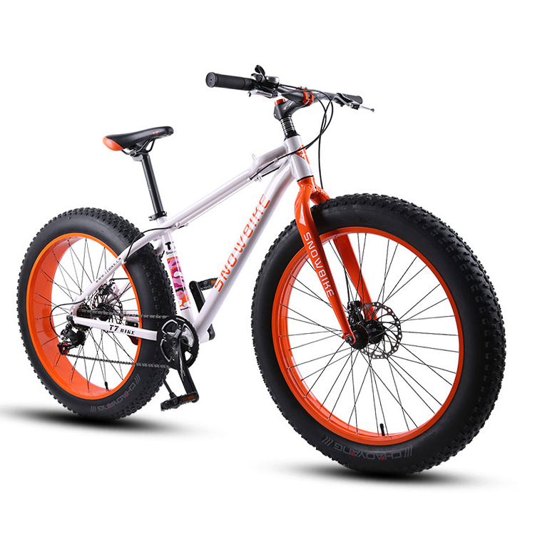 24 speed New 4.0 fat tire bike double disc brake beach bicycle snow bike 24 and 26 inch mountain bike bicycle