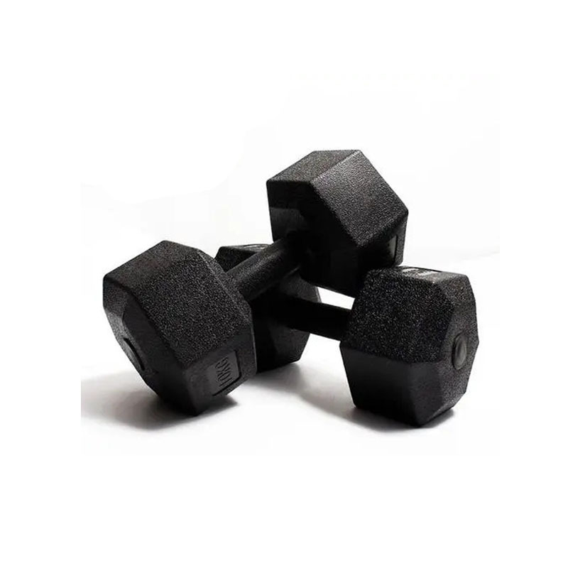 High quality Solid Steel Material Free Weights with Chromed Handle for weight lifting Training for women