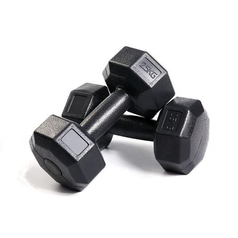 Dumbbells Dumbbell Set Professional Gym Dumbbells  5LB 8LB  10LB home use