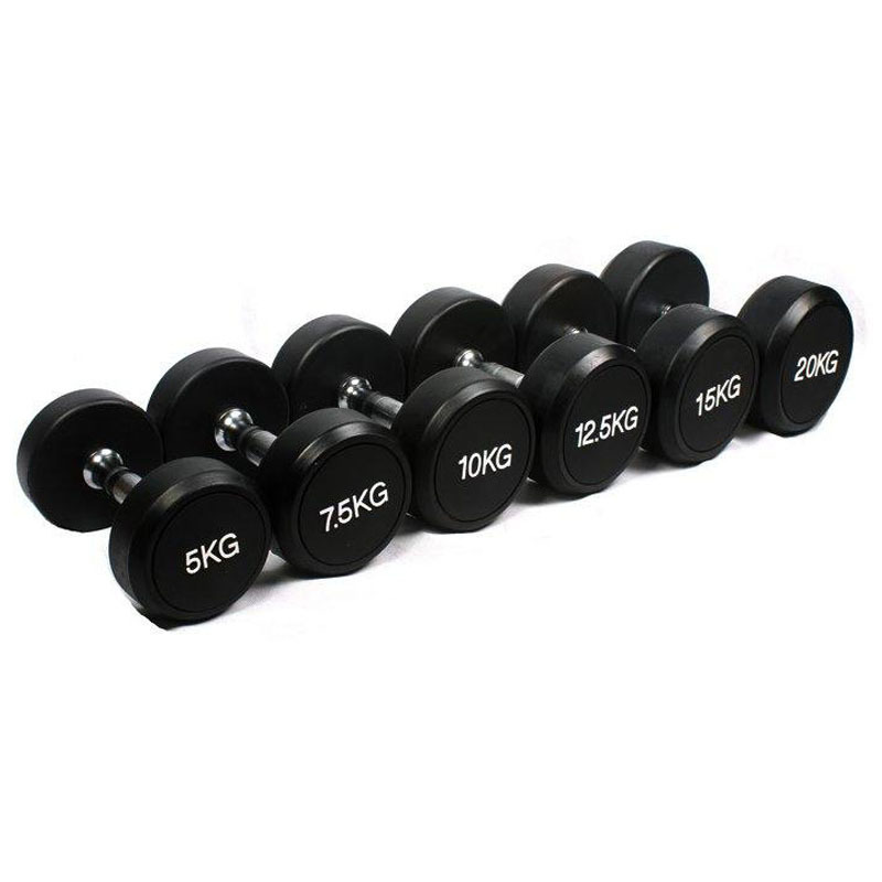 Factory Price Weights Dumbbell Hex Gym Basic Equipment Rubber Coated Hex Dumbbell