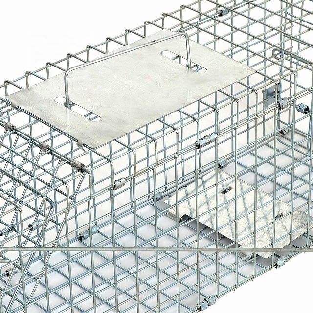 Live Animal Catch Cage Traps For Sales Rats Mouse Possums Raccoons Rabbits Birds Dogs Crows Tiger Wild Boar China Supplier