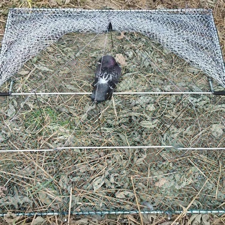 Foldable Bird Net Humane Live Trap Sparrow Pigeon Quail Hunting Mesh Tools