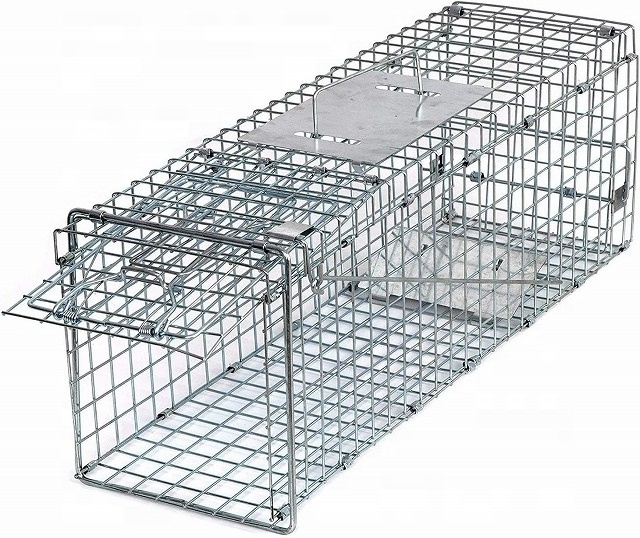 Live Animal Catch Cage Traps For Sales Rats Mouse Possums Raccoons Rabbits Birds Dogs Crows Tiger Wild Boar China Supplier