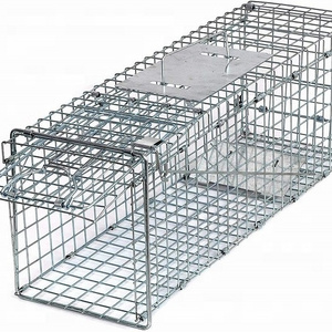 Live Animal Catch Cage Traps For Sales Rats Mouse Possums Raccoons Rabbits Birds Dogs Crows Tiger Wild Boar China Supplier