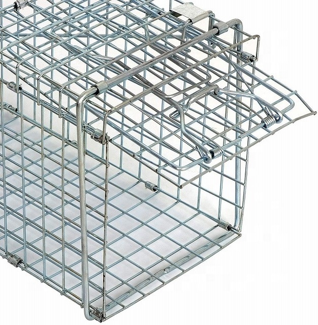 Live Animal Catch Cage Traps For Sales Rats Mouse Possums Raccoons Rabbits Birds Dogs Crows Tiger Wild Boar China Supplier