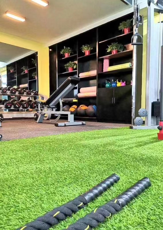 Best Selling Artificial Grass Roll Artificial Carpet Grass Artificial Turf Grass/Gym Artificial Turf