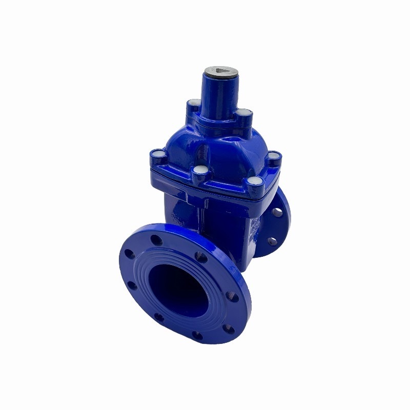 china manufacture stainless steel thread port for sale 50 mm gate valve