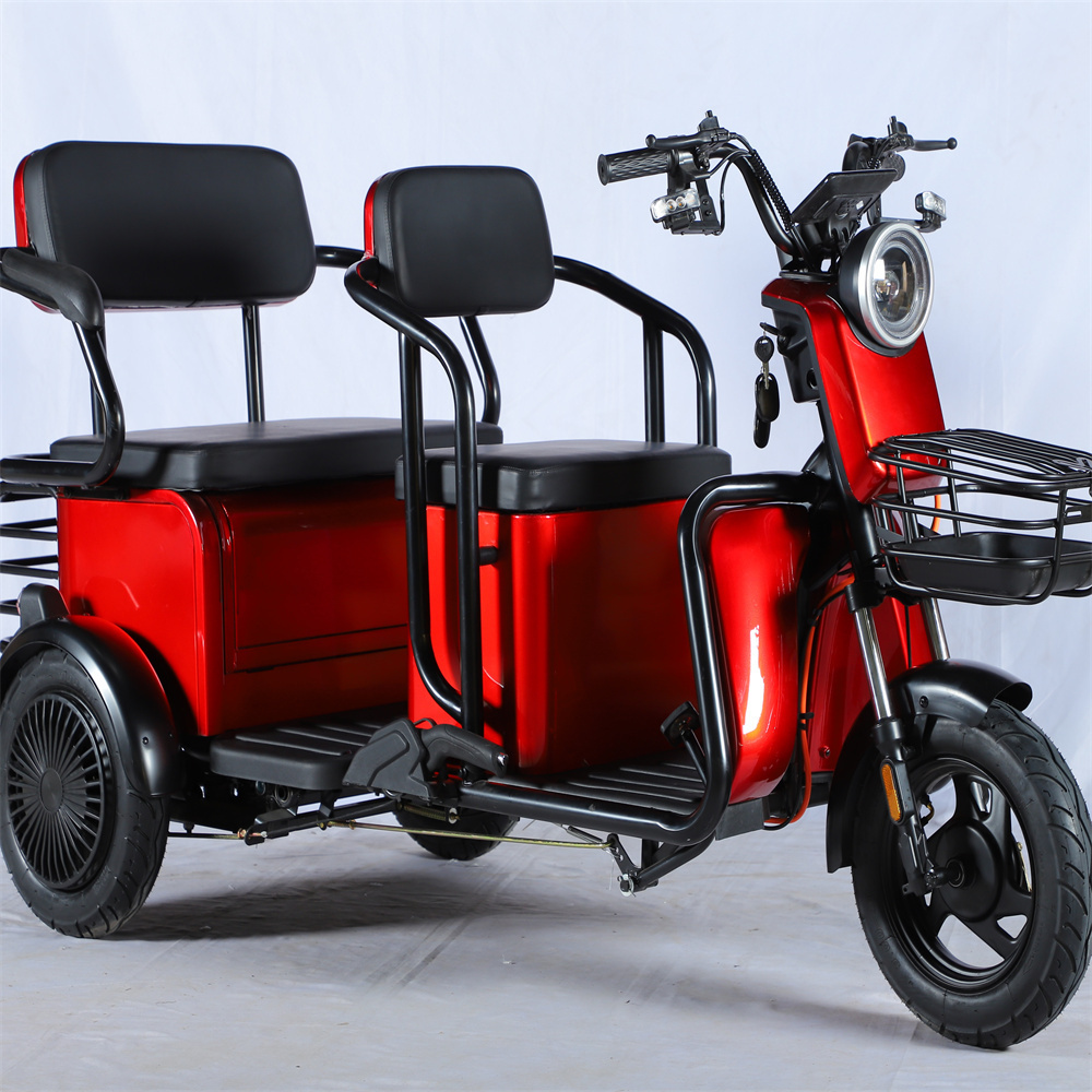 New Model Electric Pedicab for Elderly Fat Tire 3-Wheel Tricycle for Passenger and Cargo Transport