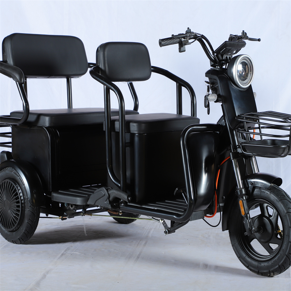 New Model Electric Pedicab for Elderly Fat Tire 3-Wheel Tricycle for Passenger and Cargo Transport