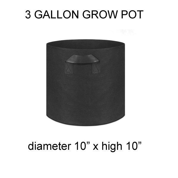 3 / 5 / 7 / 10 / 15  Gallon Felt Fabric Pot Grow Bag for plant