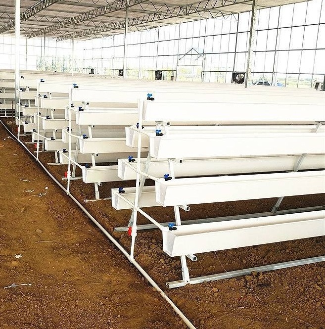 Dutch barrel Strawberry soilless cultivation growing plastic tray gutter