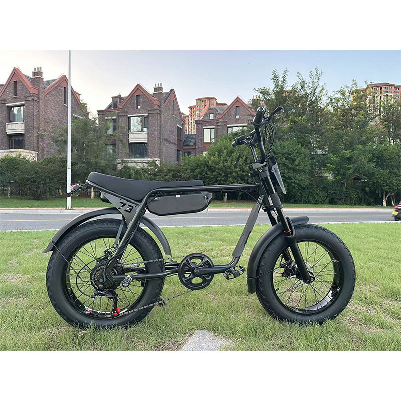 super off road  z miami z1 zx  zg electric fat e tire 73 bike fatbike 250w 1000w 2000w 1500w 72v 48v duel battery ebike super73