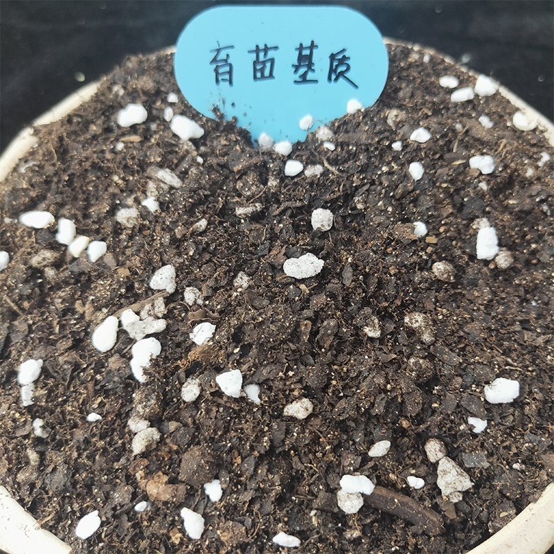 Coconut Peat Coir Soil Moss Cocopeat Potting Plants PIN'S Bed Soil for Sale Mixer Agriculture Seeds Seedlings Substrate Garden