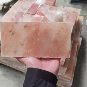 Natural Himalayan Salt Bricks 20x10x2cm 20x10x2.5cm 20x20x2.5cm for Salt Room Sauna Room BBQ OEM ODM