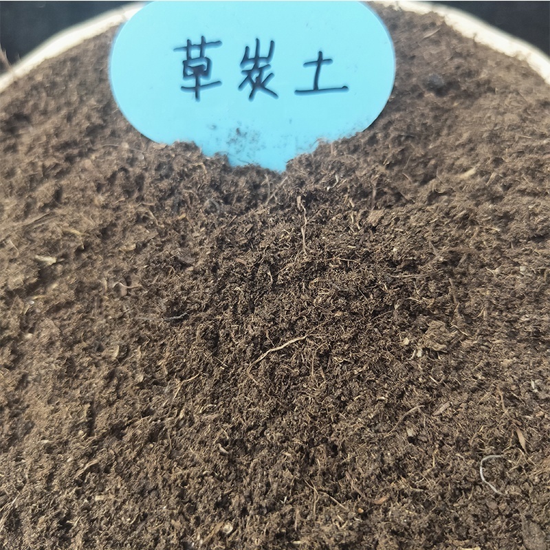 Coconut Peat Coir Soil Moss Cocopeat Potting Plants PIN'S Bed Soil for Sale Mixer Agriculture Seeds Seedlings Substrate Garden