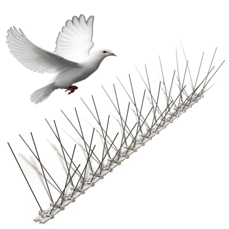 Cheap anti-bird spike stainless steel / pigeon bird control spikes for sale