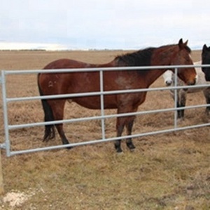 Factory direct sale used horse corral panels / galvanized cattle livestock fence