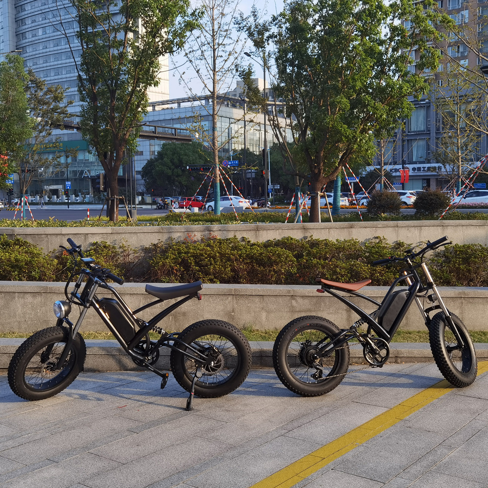 electric bicycles 750W bafang motor 48V L G battery powerful electric motorcycles 20inch fat tyre e bicycle