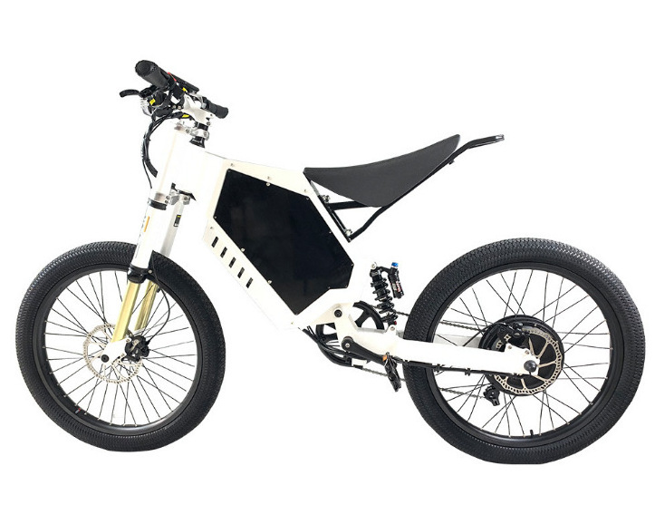 Cheap 72v1000w big power ebike/electric bike enduro/sonw fat tire Electric Mountain Bike With Brushless motor banana seat ebike