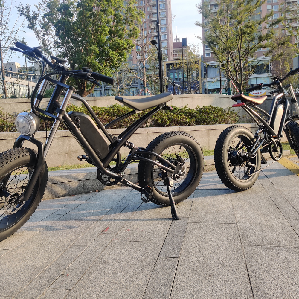 electric bicycles 750W bafang motor 48V L G battery powerful electric motorcycles 20inch fat tyre e bicycle