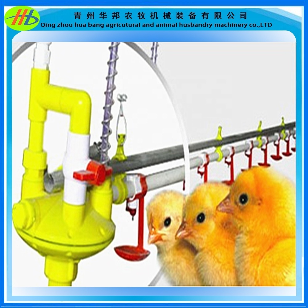 Automatic Feeder poultry feed machine layer chickens fully auto raising equipment