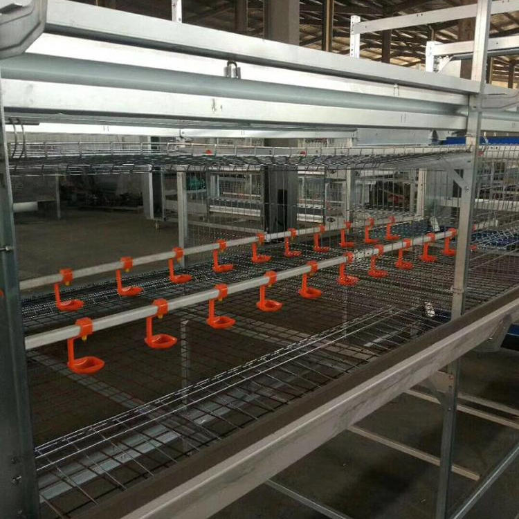 Automatic Chicken layer Cages  Broiler Chicken Feed system h type broiler cage