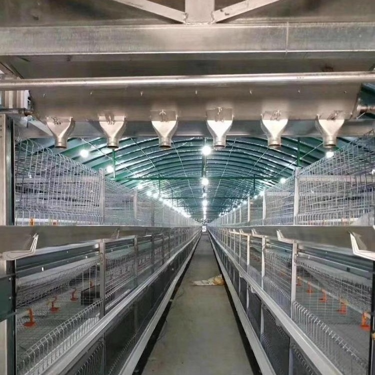 Automatic Chicken layer Cages  Broiler Chicken Feed system h type broiler cage