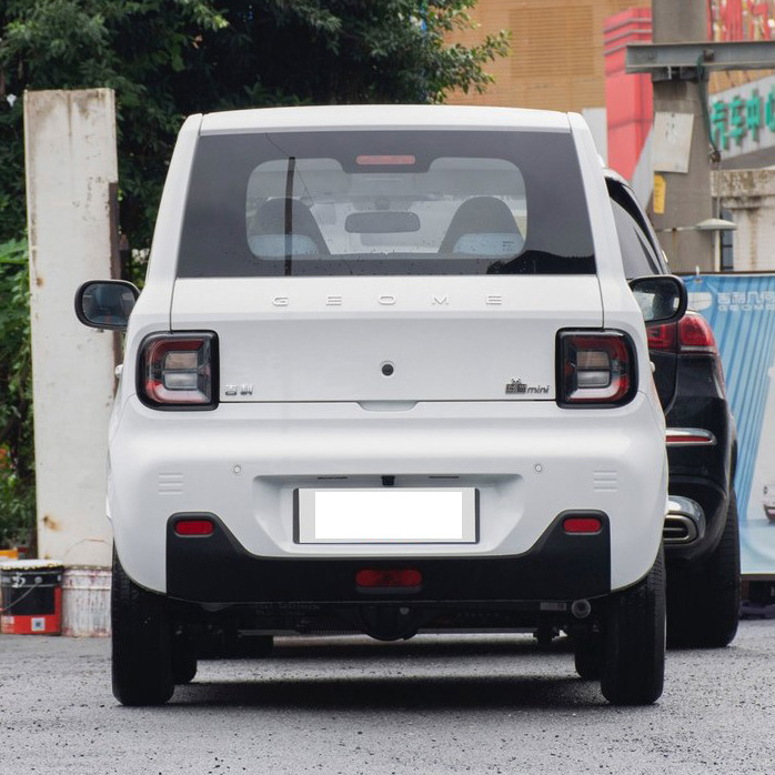 Hot Sale High Quality 4-Seat Pure Electric Vehicle For Geely Mini Panda