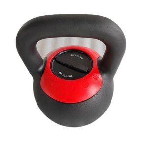 Factory direct sales adjustable cast iron kettlebell