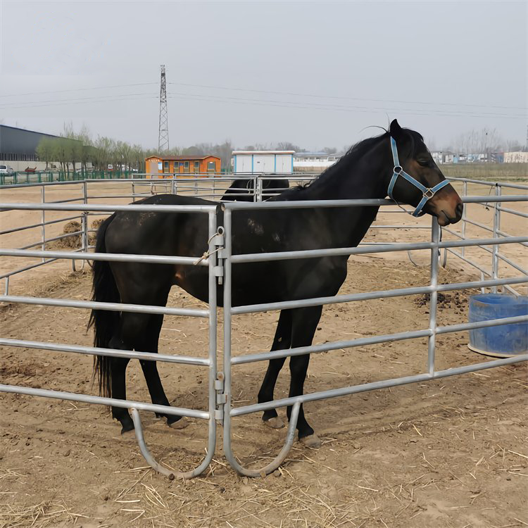 Galvanized 6ft 12ft Heavy Duty Metal Horse Fence Panels/Round Pen Panels/Livestock Cattle Panels Horse Corral Panels