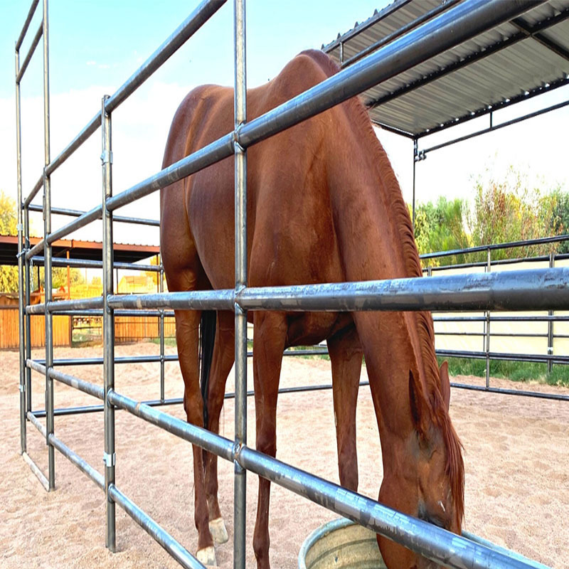 Removable Fence Panels Heavy Duty Galvanized Metal Round Pen Cattle Corral Livestock Farm Horse Yard Fence Customizable size