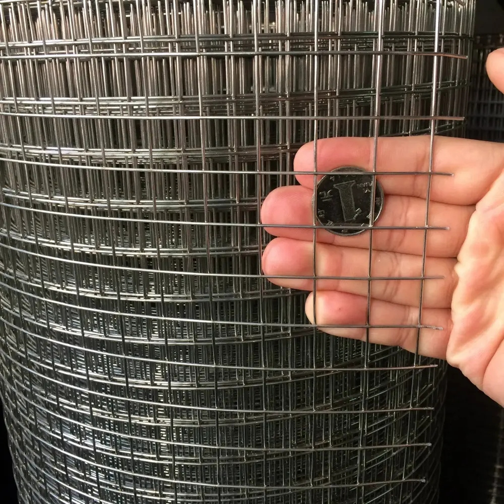 Electro galvanized welded iron wire mesh Bird Cage Welded Wire Mesh Roll Welded Mesh