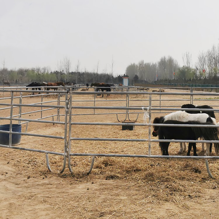 Horse Fence Panels Circular tube Livestock Cattle Panels Horse Corral Panels Easily Assembled Sheep And Goat Farm